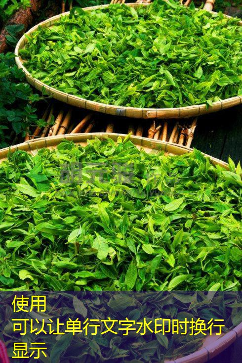 上海地区鸡蛋价格整体回升