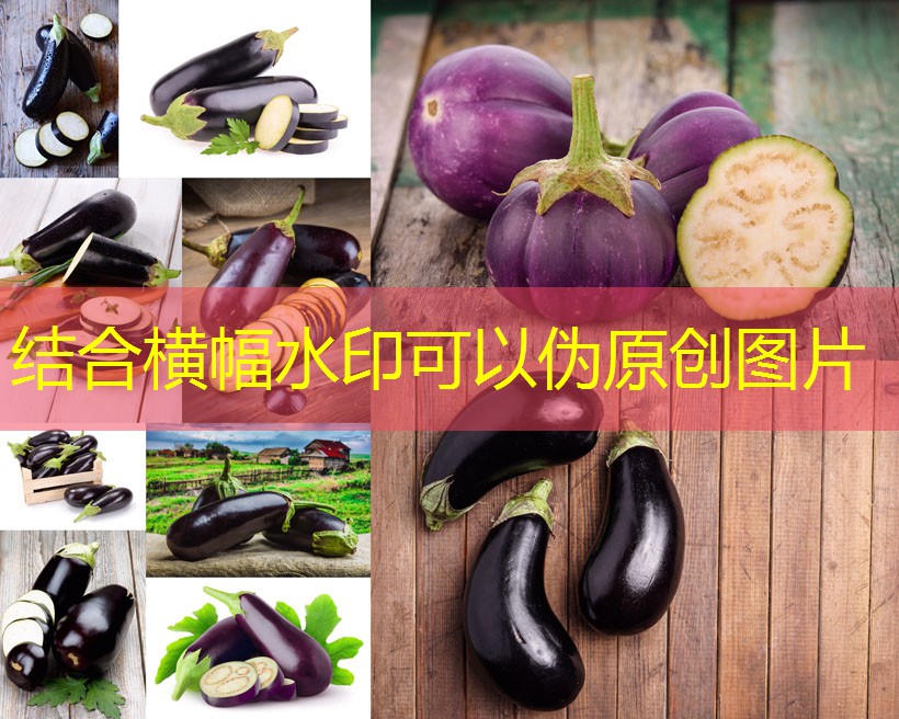 全国中期天气趋势预报分享（2025年11月30日）