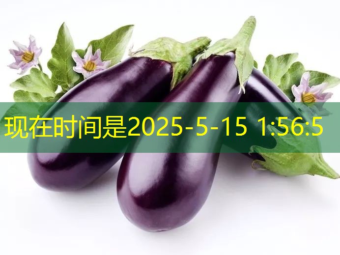 2025年11月18日早间玉米市场动态观察 ｜