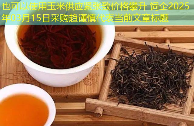 玉米供应紧张致价格攀升 饲企2025年03月15日采购趋谨慎