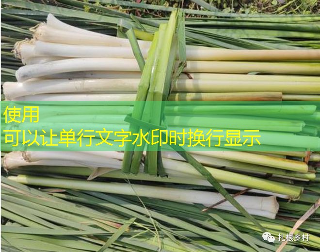 2025年11月吉林省高温少雨利于作物成熟