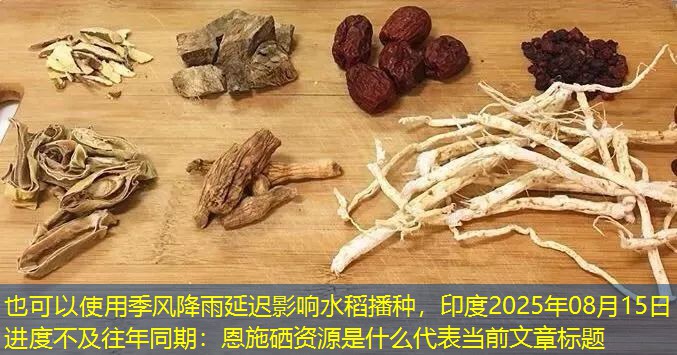 季风降雨延迟影响水稻播种，印度2025年08月15日进度不及往年同期