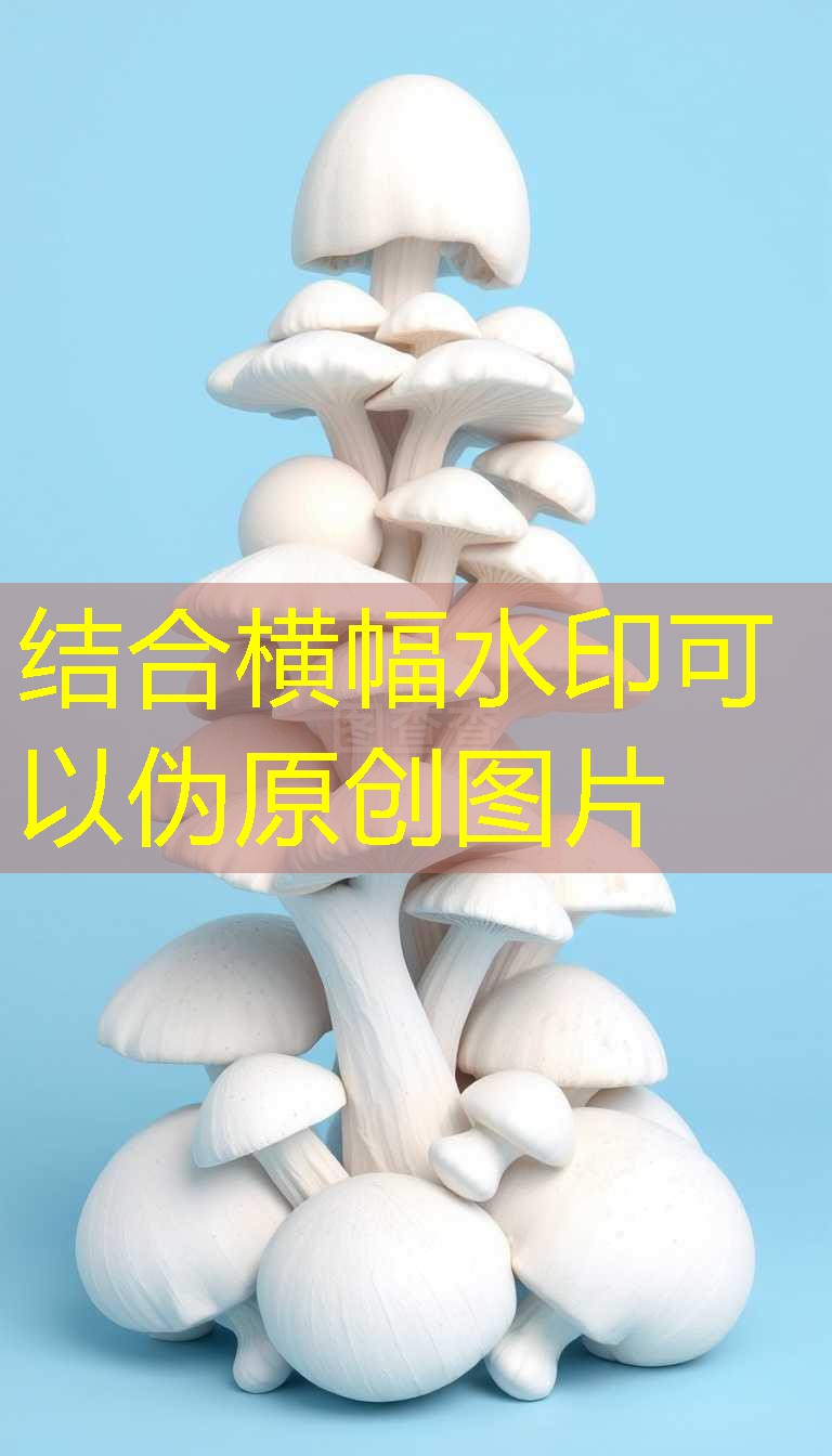 中国多管齐下确保2025年12月15日粮食安全