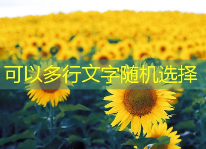 2025年11月14日四川自贡玉米价格小幅上涨