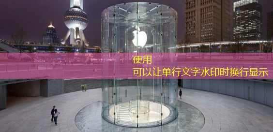 2025年11月17日早间玉米市场动态观察：