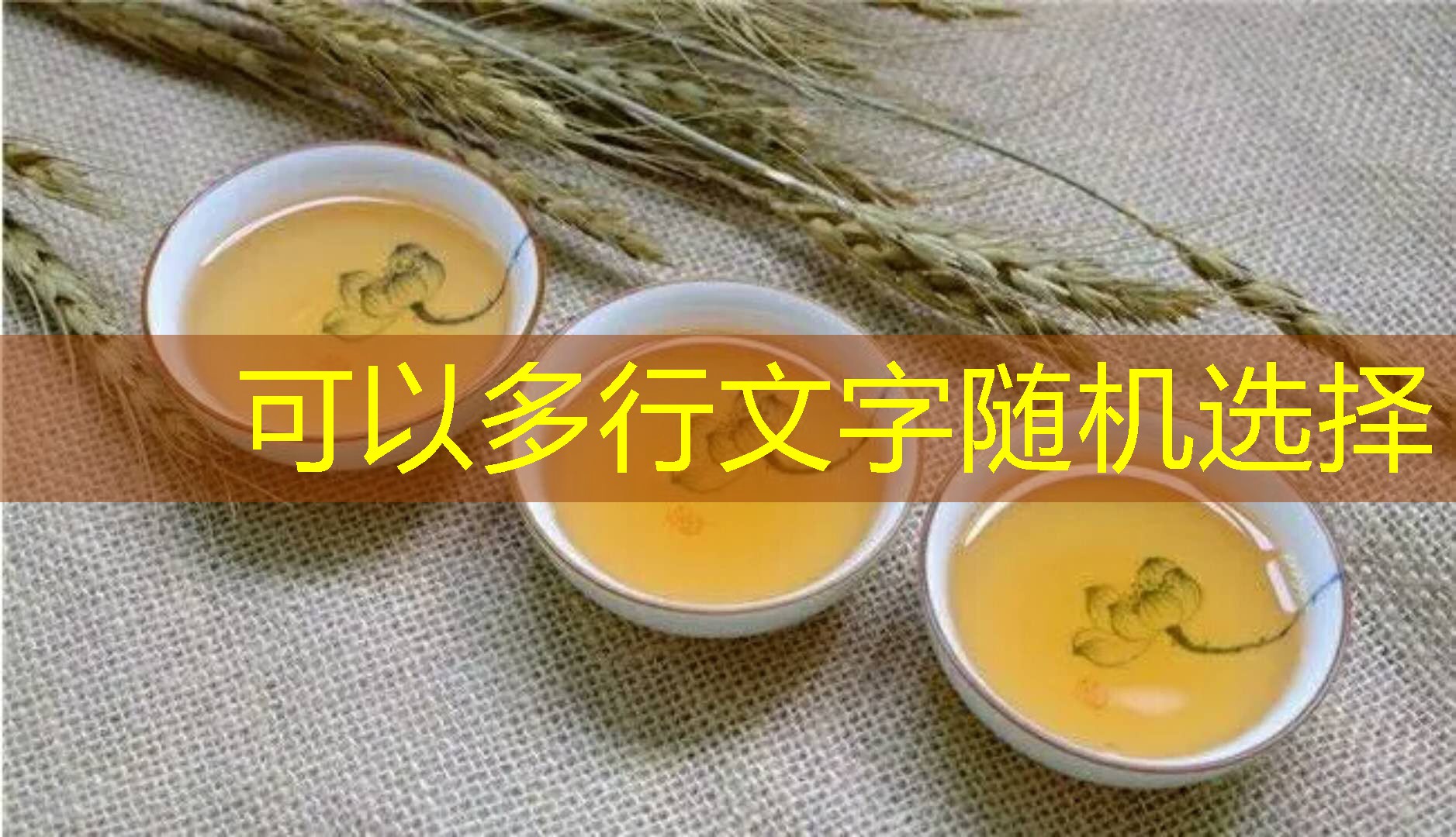 2025年11月18日莆田市专项储备粮轮换竞价销售交易会（2018年第五场）公告