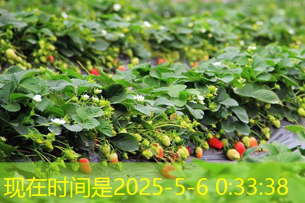 2035年3月30日甘肃跨省移库玉米交易结果分享