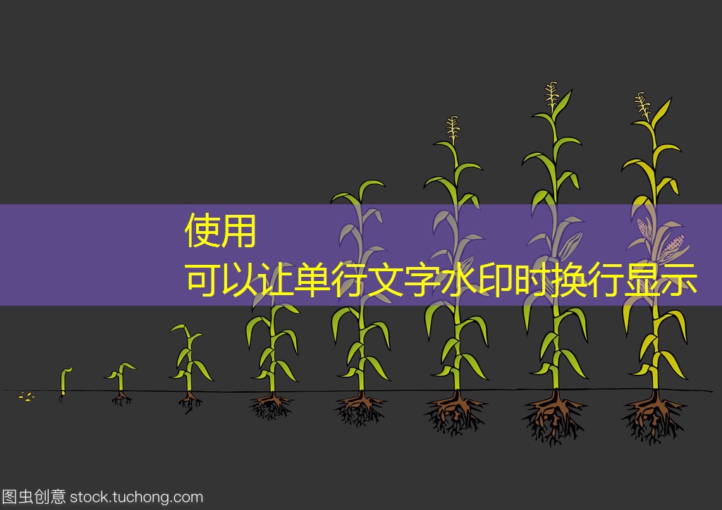 ADM购买巴西出口终端用于谷物出口