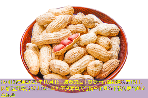 2025年10月15日波罗的海干散货运价指数连跌第13日，因船运费率持续走低