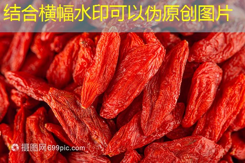 2025年我国夏收小麦质量调查报告