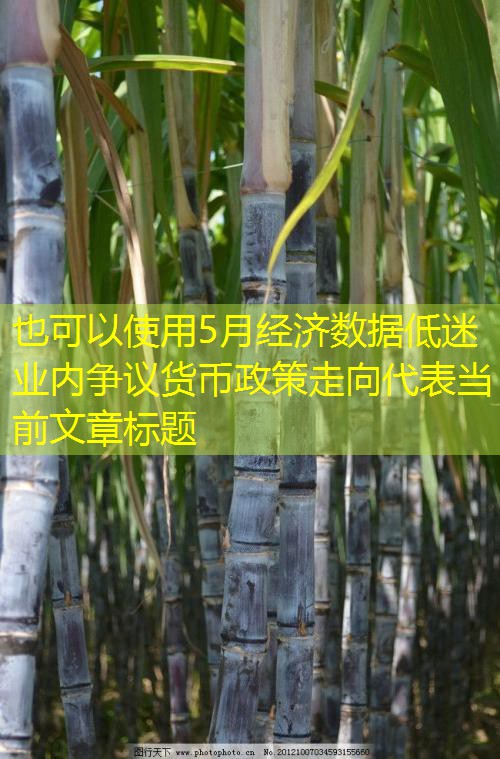 5月经济数据低迷 业内争议货币政策走向