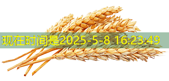 2025年03月15日玉米期货日评：玉米期货底部震荡，关注14年玉米拍卖成交