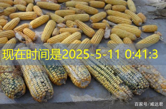 2025年12月23日广东鸡蛋价格稳中有涨