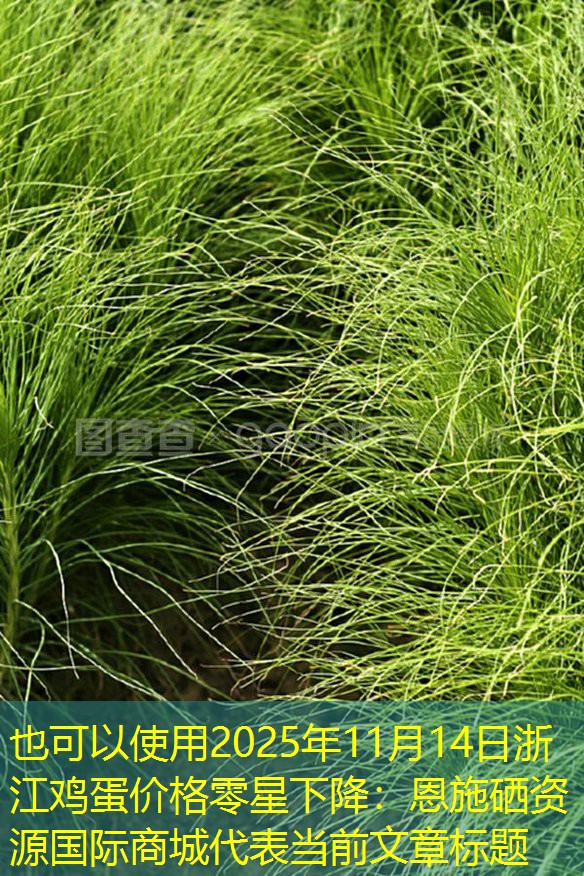 2025年11月14日浙江鸡蛋价格零星下降