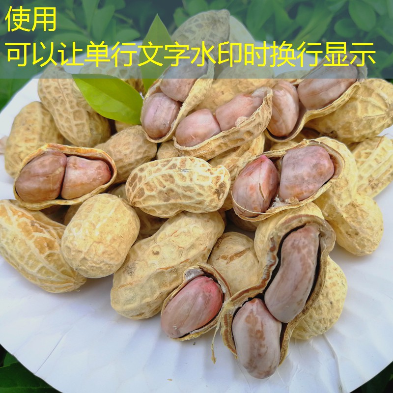 2025年3月15日CBOT市场观察：供应压力致玉米期货脱离周内高位