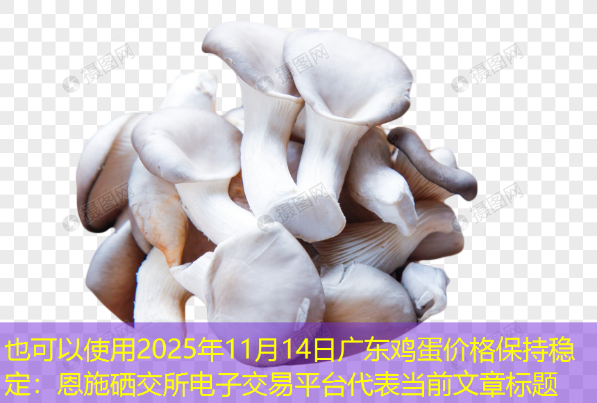 2025年11月14日广东鸡蛋价格保持稳定