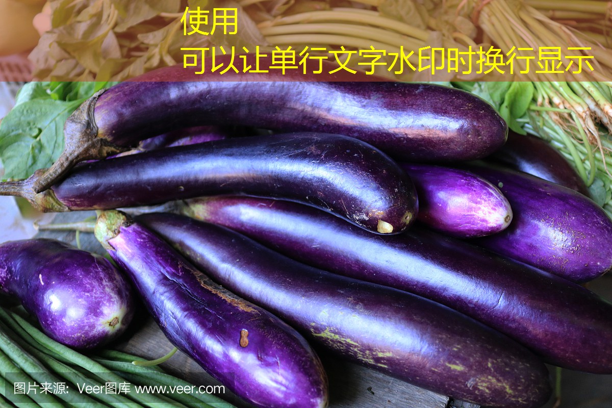 CBOT糙米期货涨跌不一 市场成交清淡(2025年03月14日)