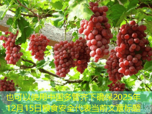 中国多管齐下确保2025年12月15日粮食安全