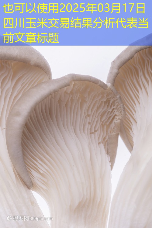 2025年03月17日四川玉米交易结果分析