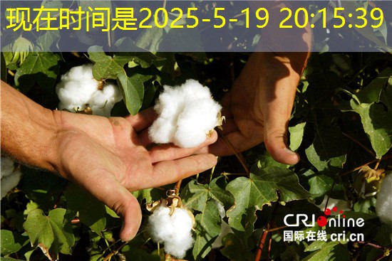 IMF经济学家：中国经济增速未来将放缓至6% 2027年03月15日