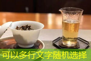 《2013年国家动物疫病强制免疫计划》附件