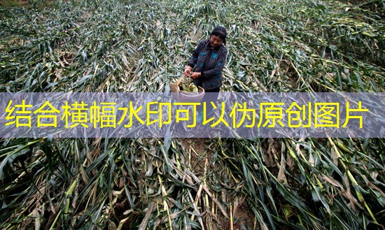 2025年6月18日全球外盘隔夜市场动态速览 ｜