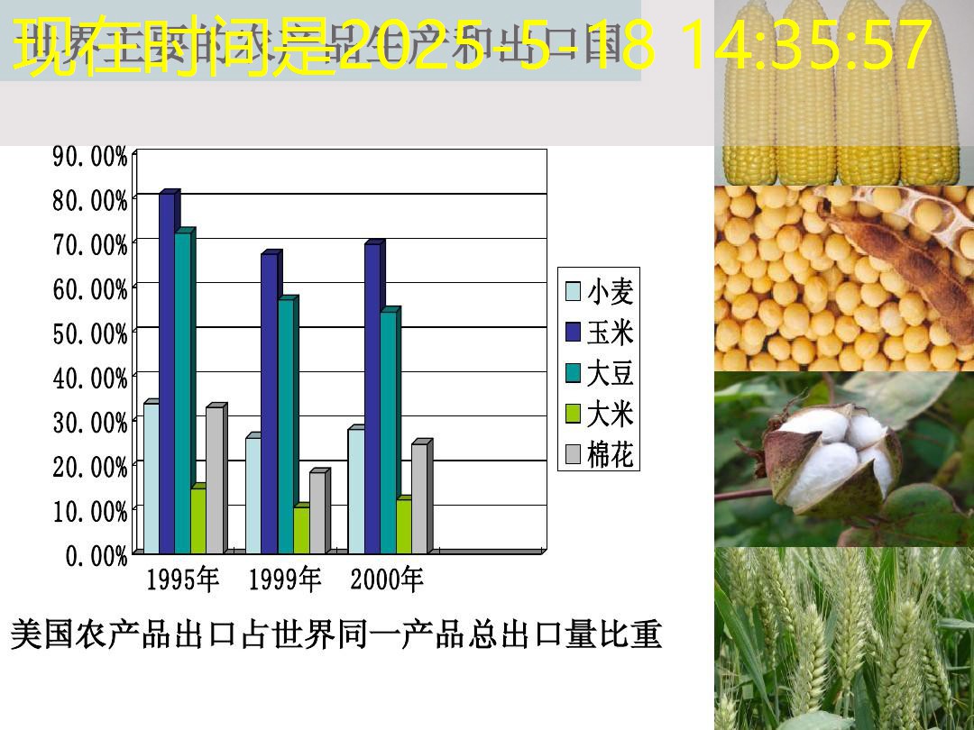 CBOT玉米期货上涨，因出口需求大增
