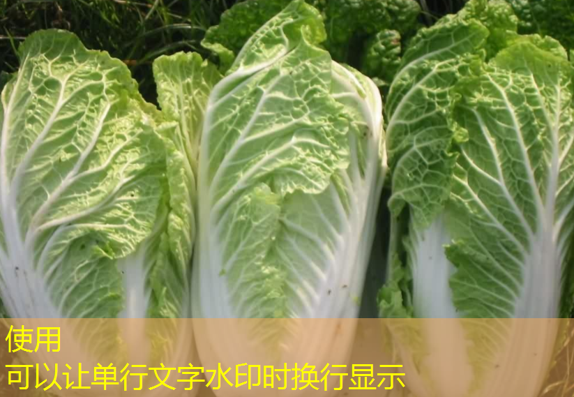 CBOT评论：玉米期货下跌1.4%，受小麦市场疲弱拖累（2025年03月15日）