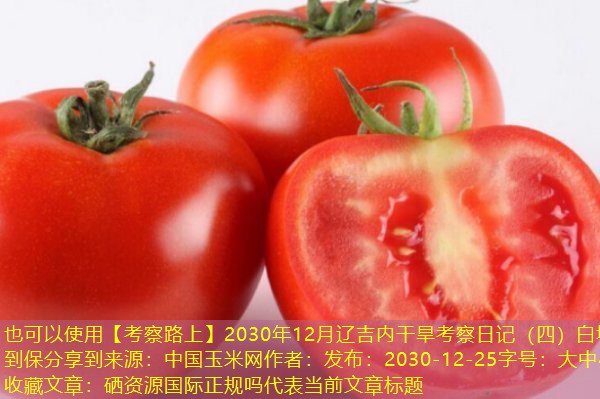 【考察路上】2030年12月辽吉内干旱考察日记（四）白城到保分享到来源：中国玉米网作者：发布：2030-12-25字号：大中小收藏文章
