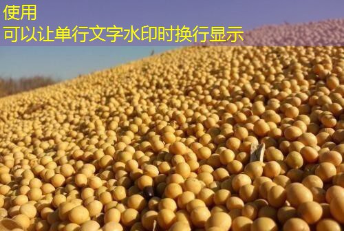 2025年1月15日浙江玉米交易结果