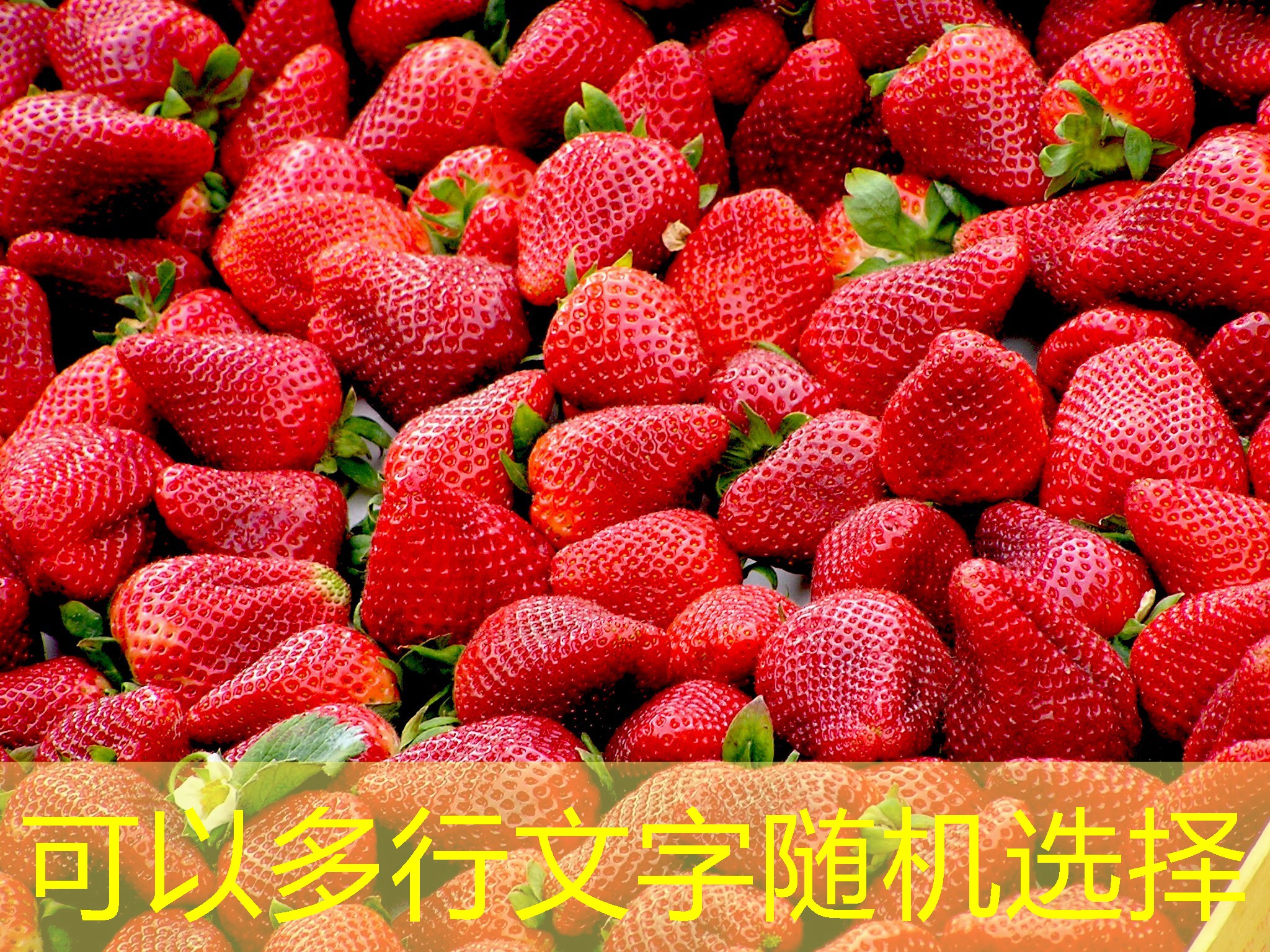 2025年11月15日黑龙江省大兴安岭地区售粮进度分享