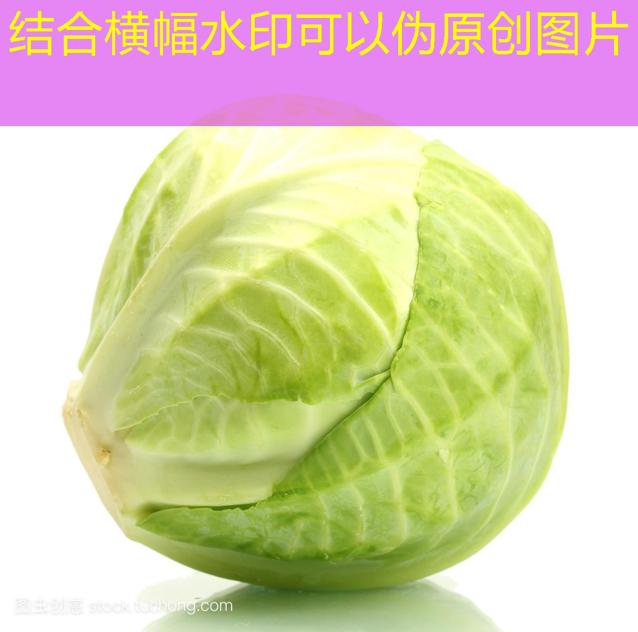 20多吨病死猪猪骨当成羊骨卖 商家被判刑