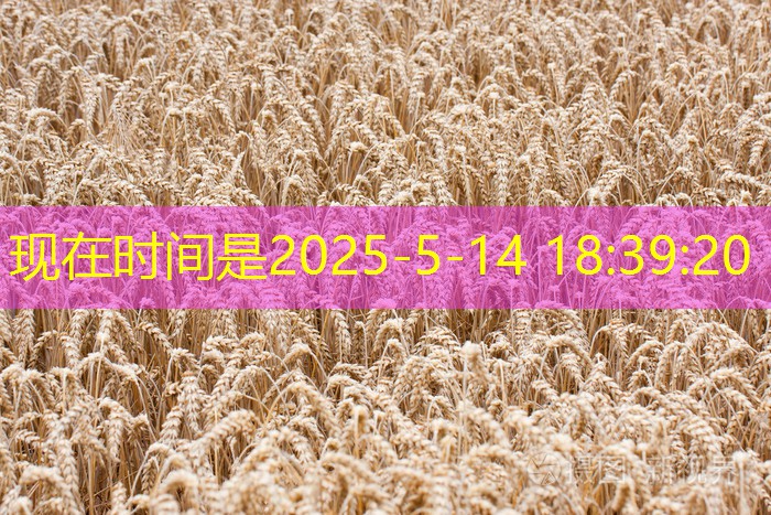 2025年12月13日广东鸡蛋价格基本稳定
