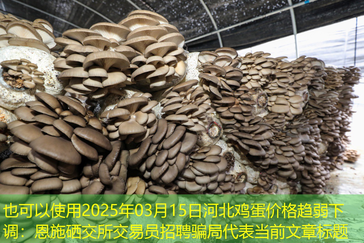 2025年03月15日河北鸡蛋价格趋弱下调
