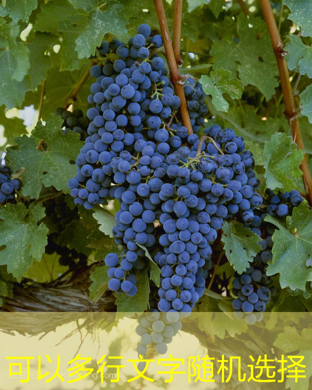 2025年10月15日江苏鸡蛋价格整体下调