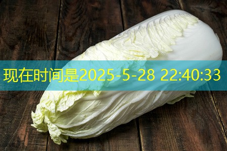 2025年11月15日青岛肉菜价格持续回落，猪肉价格同比仍高五成