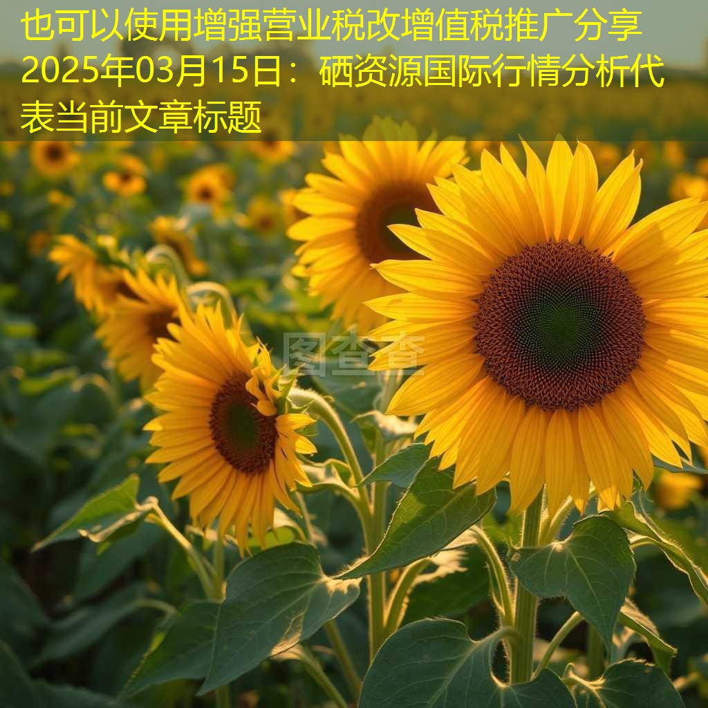 增强营业税改增值税推广分享2025年03月15日