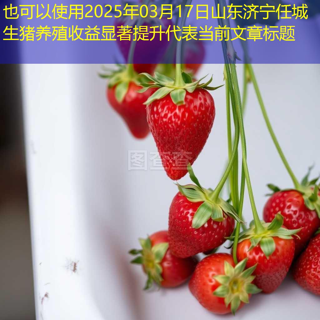 2025年03月17日山东济宁任城生猪养殖收益显著提升