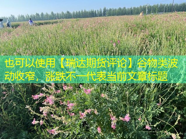 【瑞达期货评论】谷物类波动收窄，涨跌不一