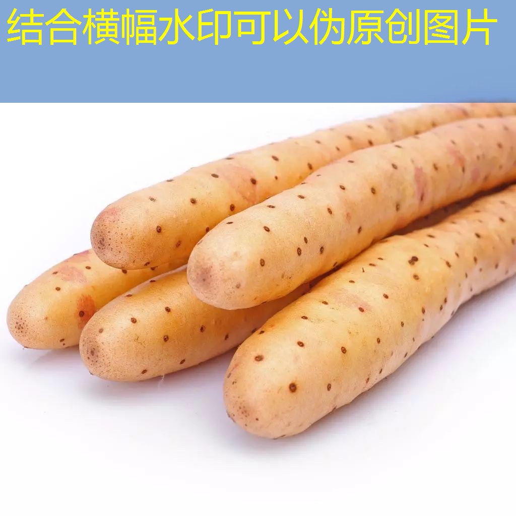 2025年06月18日淀粉期货日评：库存压力拖累淀粉，跌破均线支撑