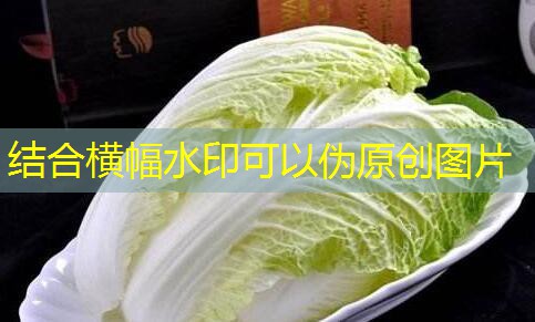 CBOT小麦期货下跌，受需求疲弱拖累