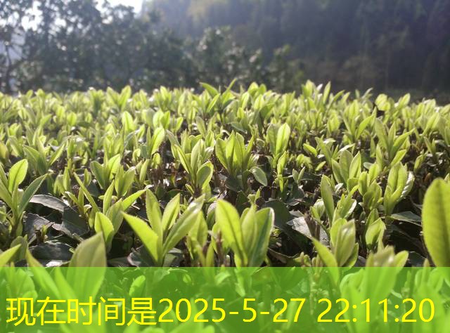 5月经济数据低迷 业内争议货币政策走向