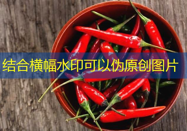 2025年12月13日广东鸡蛋价格基本稳定