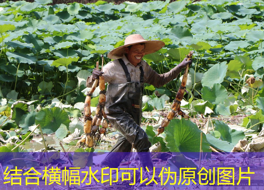 “帕布”影响菲律宾东北部洋面和台湾以东洋面