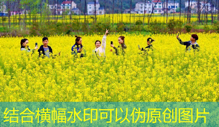 【南华期货评论】玉米仍将保持震荡态势，建议投资者高抛低吸