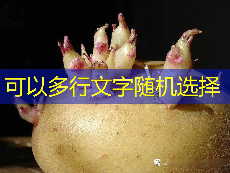 DDGS反倾销反补贴进展--对三家美国企业进行抽样调查