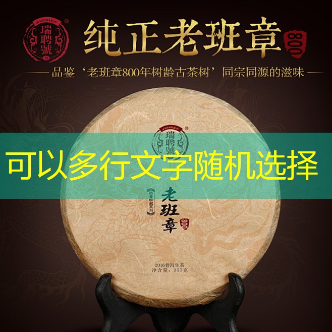 9月外贸航程或遭“浪头阻击”，进出口增速料双降