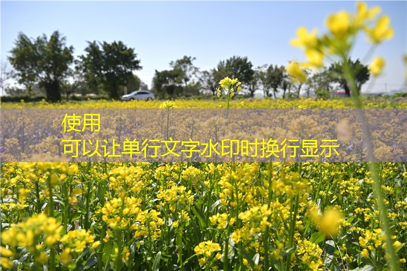 9月外贸航程或遭“浪头阻击”，进出口增速料双降