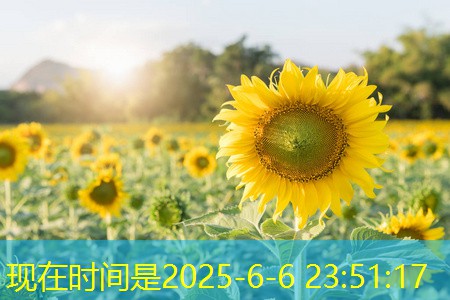 国内经济2025年12月15日持续稳健向好