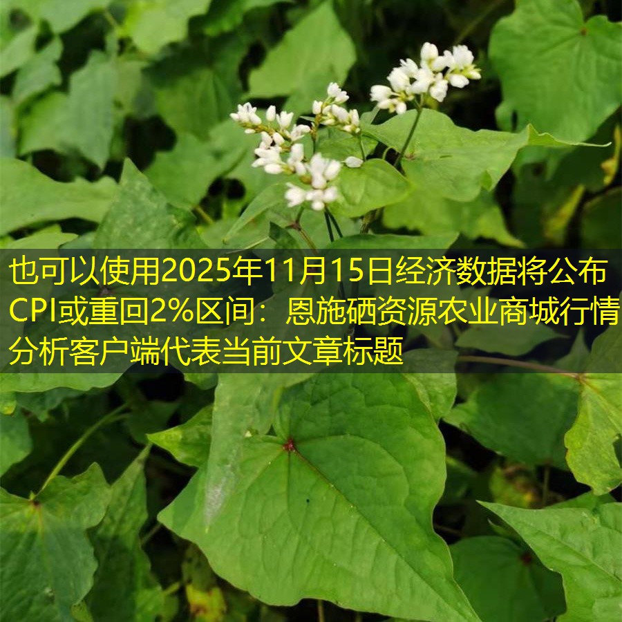 2025年11月15日经济数据将公布 CPI或重回2%区间